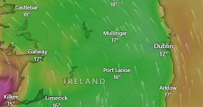 Dublin weather: Risk of overnight thunder after strong winds hit capital