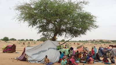 Chad braces for thousands of refugees fleeing 'incredible violence' in Sudan