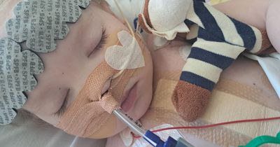 County Durham toddler who has spent almost half of her life in hospital receives a new heart