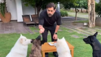 Watch: MS Dhoni's birthday celebrations with 'special friends', social media is in awe