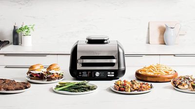 Ninja IG601 Foodi XL 7-in-1 Indoor Grill Combo review