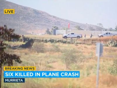 Six dead after small plane crashes in California field, sparking brush fire