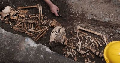 Historic skeletal remains discovered on site of planned Dublin city centre hotel