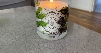 I tried Aldi's £3 dupe of a £56 Diptyque candle and it made my living room smell amazing