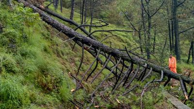 Torrential monsoon rains create havoc in Himachal Pradesh; Punjab rivers in spate