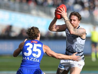 Cats return to AFL top eight with easy win over North