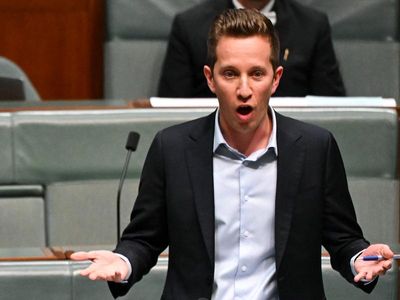 Greens MP labels attacks over housing a distraction