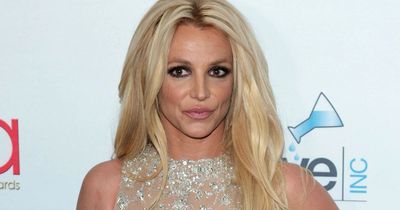 Britney Spears asks when she'll smile again as she waits for apology after bodyguard slap