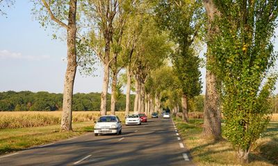 From car insurance to tolls: what Britons need to know before driving to mainland Europe