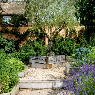 South-facing garden ideas for the perfect sunny plot