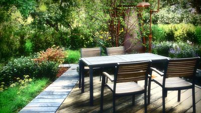 7 plants that will thrive in the shade