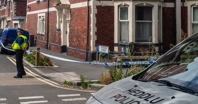 Man seriously injured in Cardiff stabbing