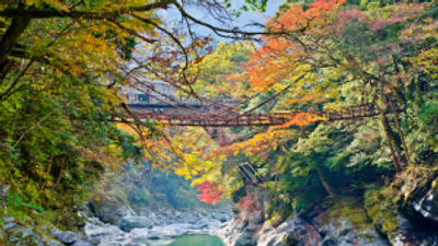 A Buddhist pilgrimage route in Japan