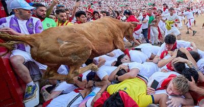 Thousands take part in bull run through streets of Spain - and somehow nobody is gored