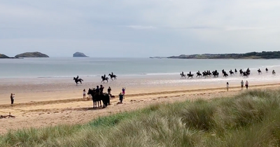 Mesmerising footage shows Royal cavalry regiment galloping on East Lothian beach