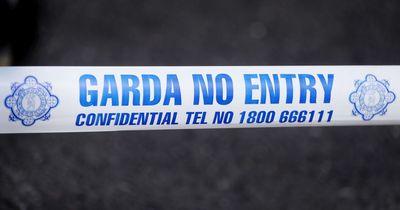 Gardai investigating two incidents after shooting and stabbing occur nearby in Dublin
