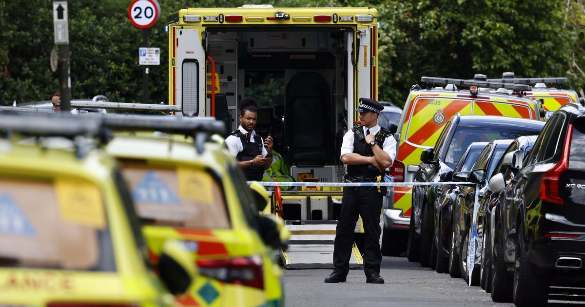 Second child, 8, dies after Land Rover crashes into…
