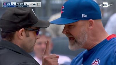Yankees Broadcaster Celebrates Explicit Rant by Cubs Manager