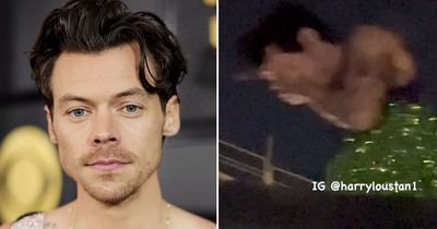 Harry Styles fans horrified as star hit with object on stage during Austria tour date