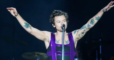 Harry Styles hit in face with object during Vienna show following Adele's stark warning to fans