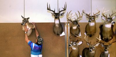 10 reasons humans kill animals – and why we can't avoid it