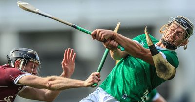 Game recognises game as Henry Shefflin doffs cap to Limerick's four in a row contenders