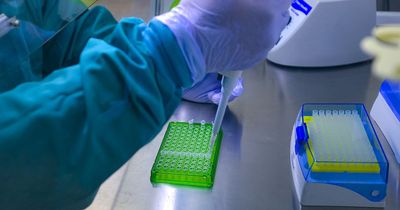 Silent killer tumour that kills in months could be found early with simple test