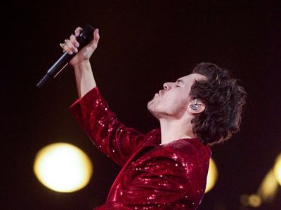 Harry Styles struck in the face by object during Vienna concert