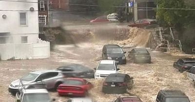 New York flash flooding kills woman as she's hit by 'tidal wave' trying to save her dog