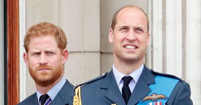Prince Harry now MORE popular than William in US as he overtakes him in new poll