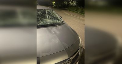 Cars damaged and windscreens smashed during months of vandalism