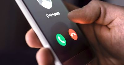Tech expert issues urgent warning over scam calls - 'hang up immediately if you hear these three phrases'