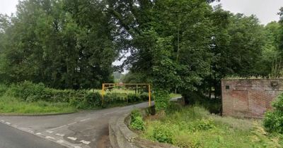 Man dies after 'large branch' falls from tree and hits him on public footpath