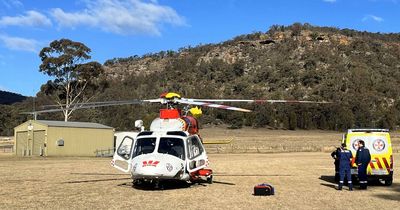 Man rushed to hospital after cattle crush injury