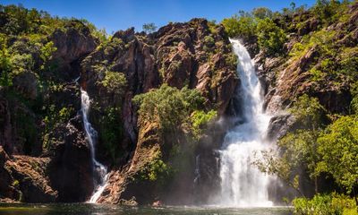 Wangi Falls: popular NT swimming hole closed after man attacked by a crocodile