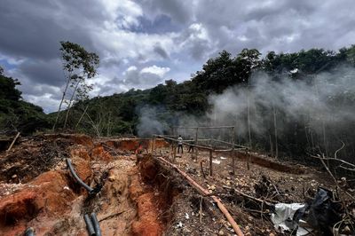 Brazilian leaders praise a 34% drop in the rate of deforestation in the Amazon