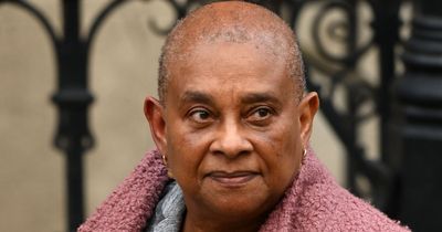 Stephen Lawrence's mum voices alarm over slow action on cops who commit crimes