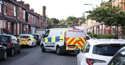 Murder arrest after man, 36, dies following 'fight'