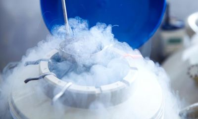 Egg-freezing is no panacea, but for those who can access it, it offers a speck of hope