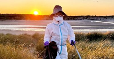 More than 600 Arctic tern chicks killed by suspected bird flu at UK's largest mainland breeding colony