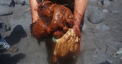 Mega-rare lump of whale vomit worth £400,000 washes up on beach in Canary Islands