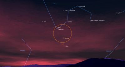 See the Red Planet Mars shine beside the blue star Regulus tonight