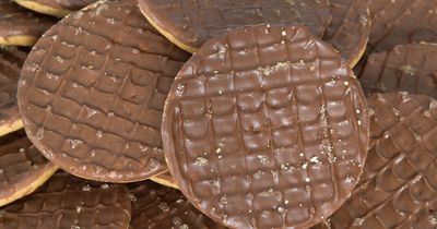 McVitie's new chocolate digestive flavour that's 'begging to be dunked'