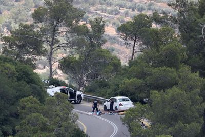 Palestinian killed after allegedly shooting at Israeli soldier