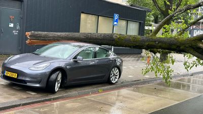 Tesla Model 3 Survives Terrifying Tree Crash, Emerges Unscathed