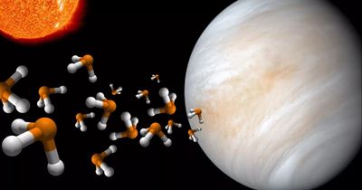 Alien life on Venus debate sparked again as molecule spotted in planet's clouds