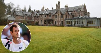 Andy Murray ordered to find home for bats as he refurbishes luxury five-star hotel