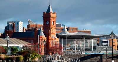 New poll shows 40% of people in Wales want either independence or the Senedd to get more powers