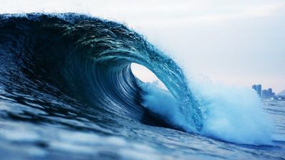 Sea Level Changes Drive Earth’s Biodiversity: Study