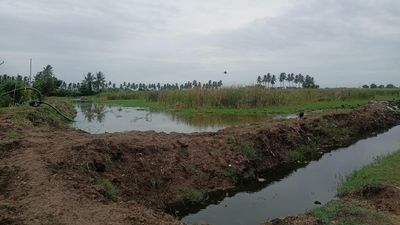 Villagers in Eluru district fight back as aqua farm threatens to pollute drinking water